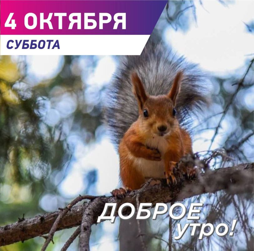  :  ,  