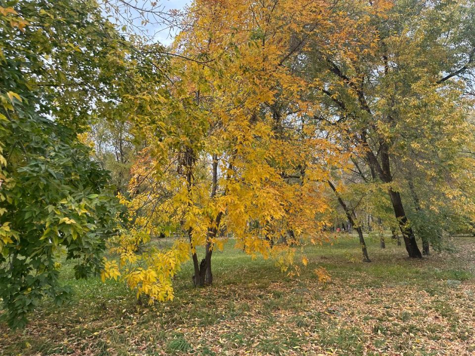  , .   5 :      72C,     +4+9C,      
