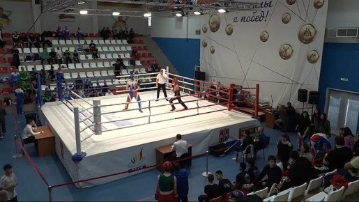    3-       GRAND PRIX Russia de SAVATE,     18 