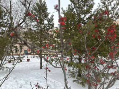  , !.    15 :   -6-10C,   -16C.    - 2  +4