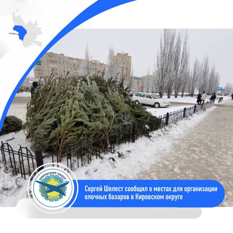 В Кировском округе определили места для елочных базаров