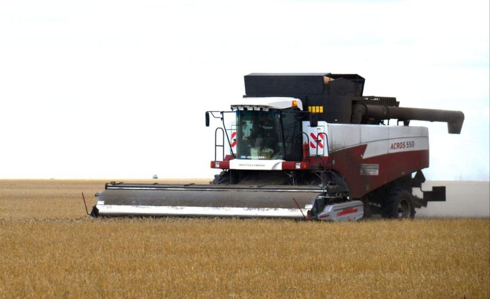 Урожай зерновых в Полтавском районе собран на 98%