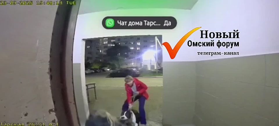 В Омске прокуратура в судебном порядке требует взыскать с владельца собаки, укусившей ребенка, компенсацию морального вреда