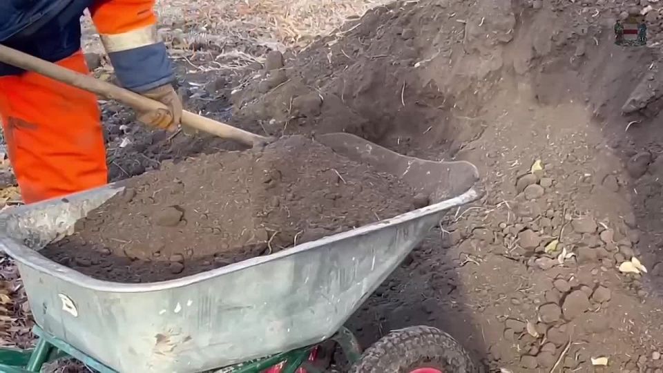 В Омске продолжают осеннее озеленение города