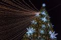 Главную городскую елку установят на территории Омской крепости