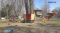 В парке им. 30-летия ВЛКСМ вырубят 41 аварийное дерево