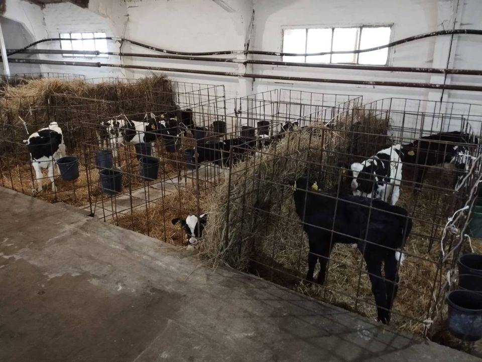 Хозяйства Азовского района подвели итоги работы за девять месяцев 2025 года