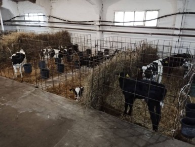 Хозяйства Азовского района подвели итоги работы за девять месяцев 2025 года