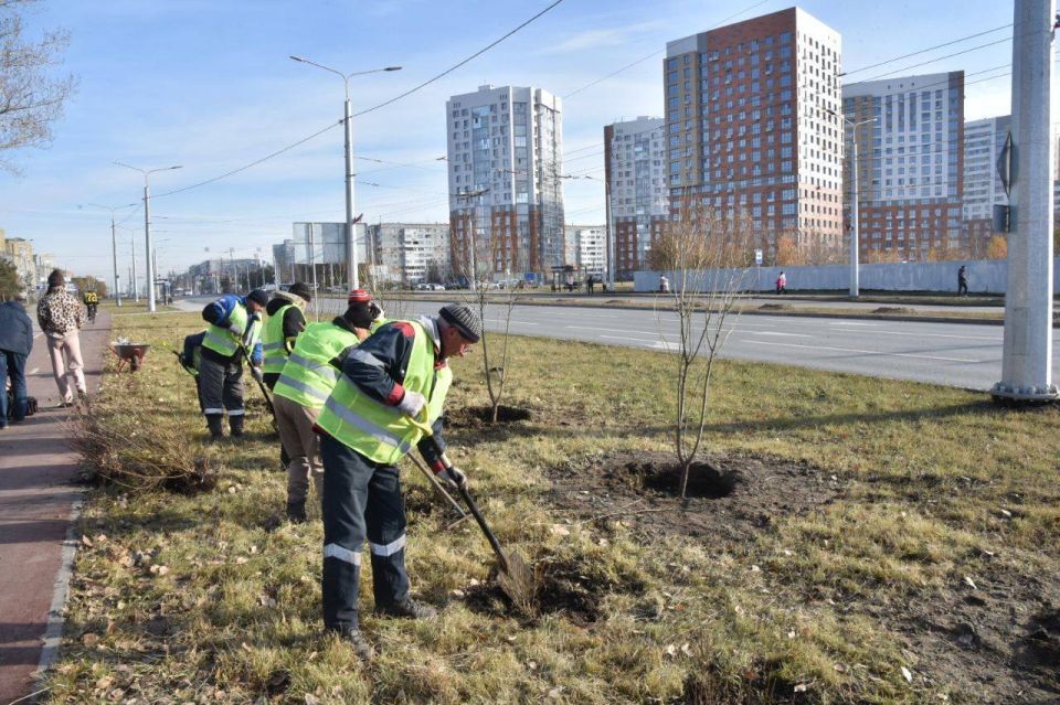 Сергей Шелест: Более 10 тысяч кустарников и деревьев украсят обновлённый бульвар Архитекторов, реконструкция которого завершилась в текущем году по нацпроекту «Инфраструктура для жизни»