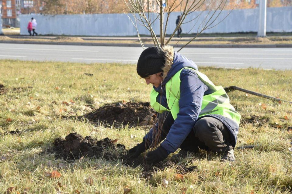 Сергей Шелест: Более 10 тысяч кустарников и деревьев украсят обновлённый бульвар Архитекторов, реконструкция которого завершилась в текущем году по нацпроекту «Инфраструктура для жизни» Сергей Шелест: Более 10 тысяч кустарников и деревьев украсят обновлённый бульвар Архитекторов, реконструкция которого завершилась в текущем году по нацпроекту «Инфраструктура для жизни»