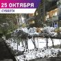 Сергей Шелест: Доброе утро, дорогие омичи