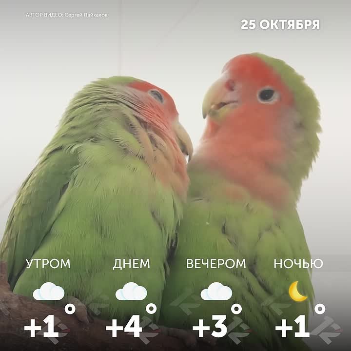 Доброе утро, омичи! Отличных вам выходных!