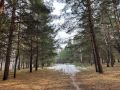 Октябрь не сдается – Омск накроет мягким теплом