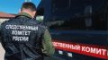 Дело убитой в Омске школьницы забрали в Москву