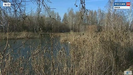 Дайджест новостей. О других новостях страны, города и области — короткой строкой
