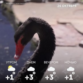 Доброе утро, омичи! Желаем вам счастливого и успешного дня!