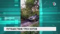 30 тысяч километров за пять лет