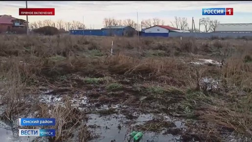 В Омском районе село Дружино утопает в канализационных водах
