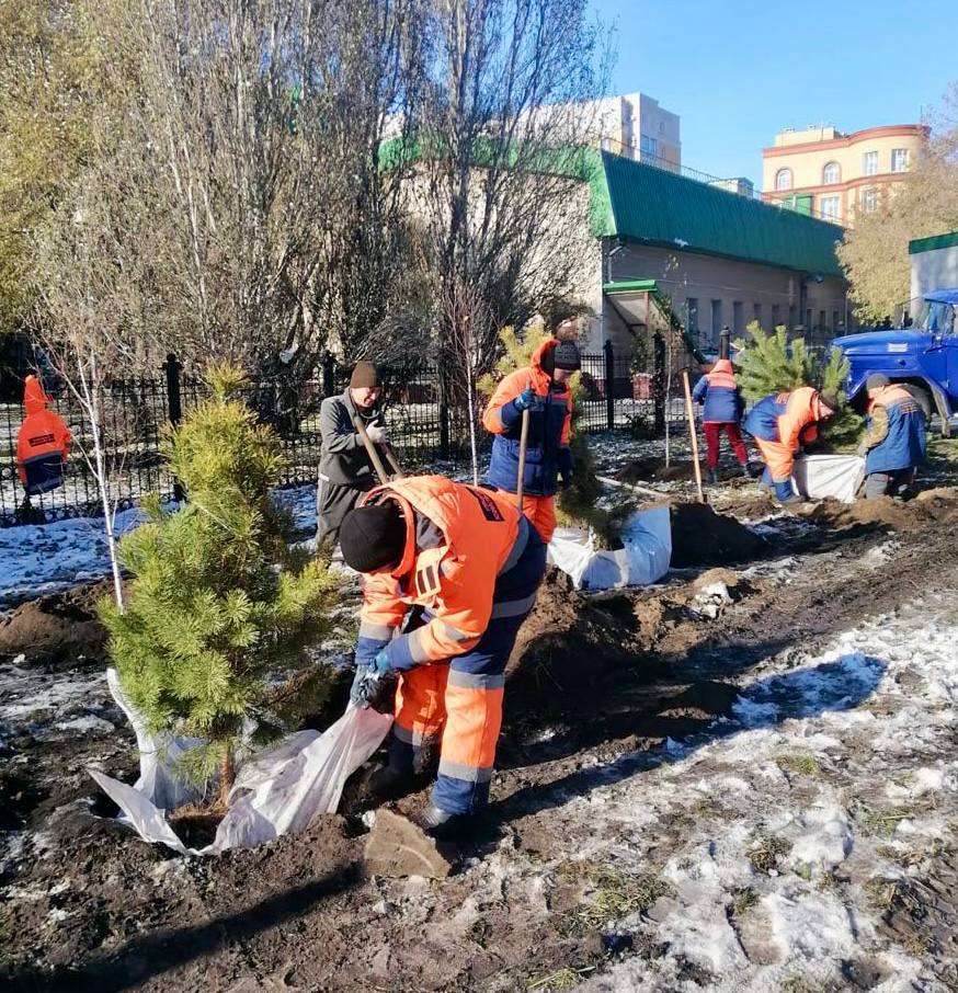 В Центральном округе продолжается высадка деревьев и кустарников В Центральном округе продолжается высадка деревьев и кустарников