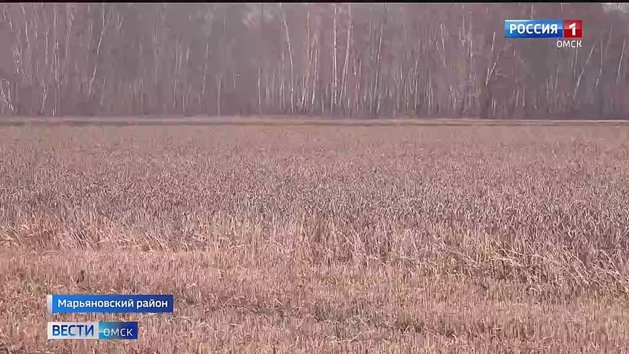 123 Во всех районах Омской области возобновилась уборочная кампания