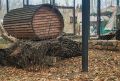 В Большереченском зоопарке показали мастера осенней маскировки