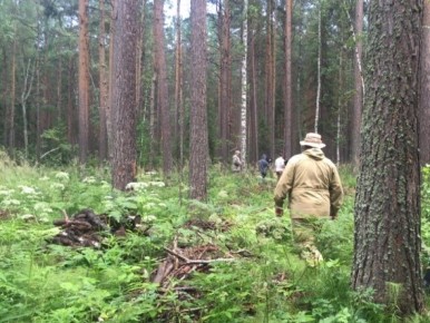 В Омской области создадут два новых лесных хозяйства