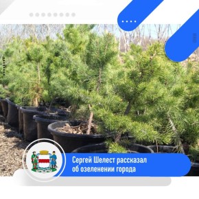 Сергей Шелест рассказал об озеленении города