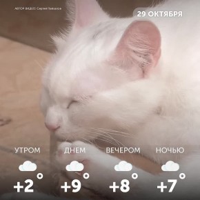 Доброе утро, омичи! Желаем чтобы ваш день был наполнен улыбками!