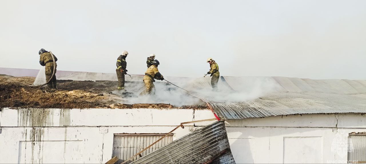 #пожарызасутки.   29 октября в 11:11 В селе Ачаир горела кровля склада с овощами #пожарызасутки.   29 октября в 11:11 В селе Ачаир горела кровля склада с овощами