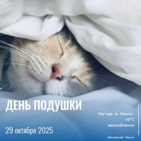 29 октября - Всемирный день врача ультразвуковой диагностики и Всемирный день борьбы с инсультом