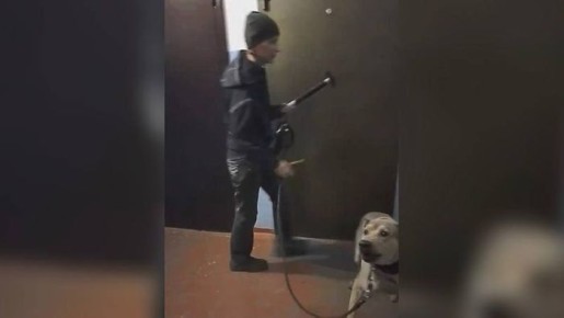 В Омске женщина с молотком держит в страхе подъезд многоэтажки