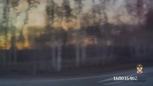 К инспекторам дорожно-патрульной службы омской Госавтоинспекции младшему лейтенанту полиции Константину Новикову и старшему лейтенанту полиции Александру Пиглову, которые несли службу районе 574 километра автодороги...