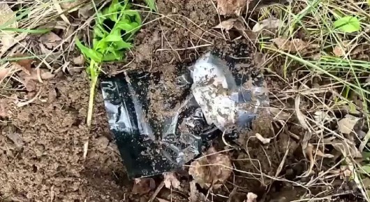 «Хотел большой заработок» – теперь ждёт большой срок