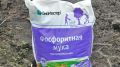 Как неправильное использование фосфоритной муки ухудшает урожай: 3 ключевые ошибки садоводов