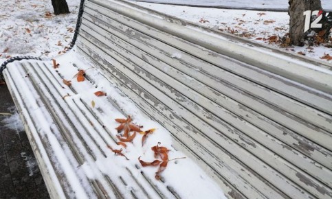 В начале ноября в Омской области ожидается снег с дождём