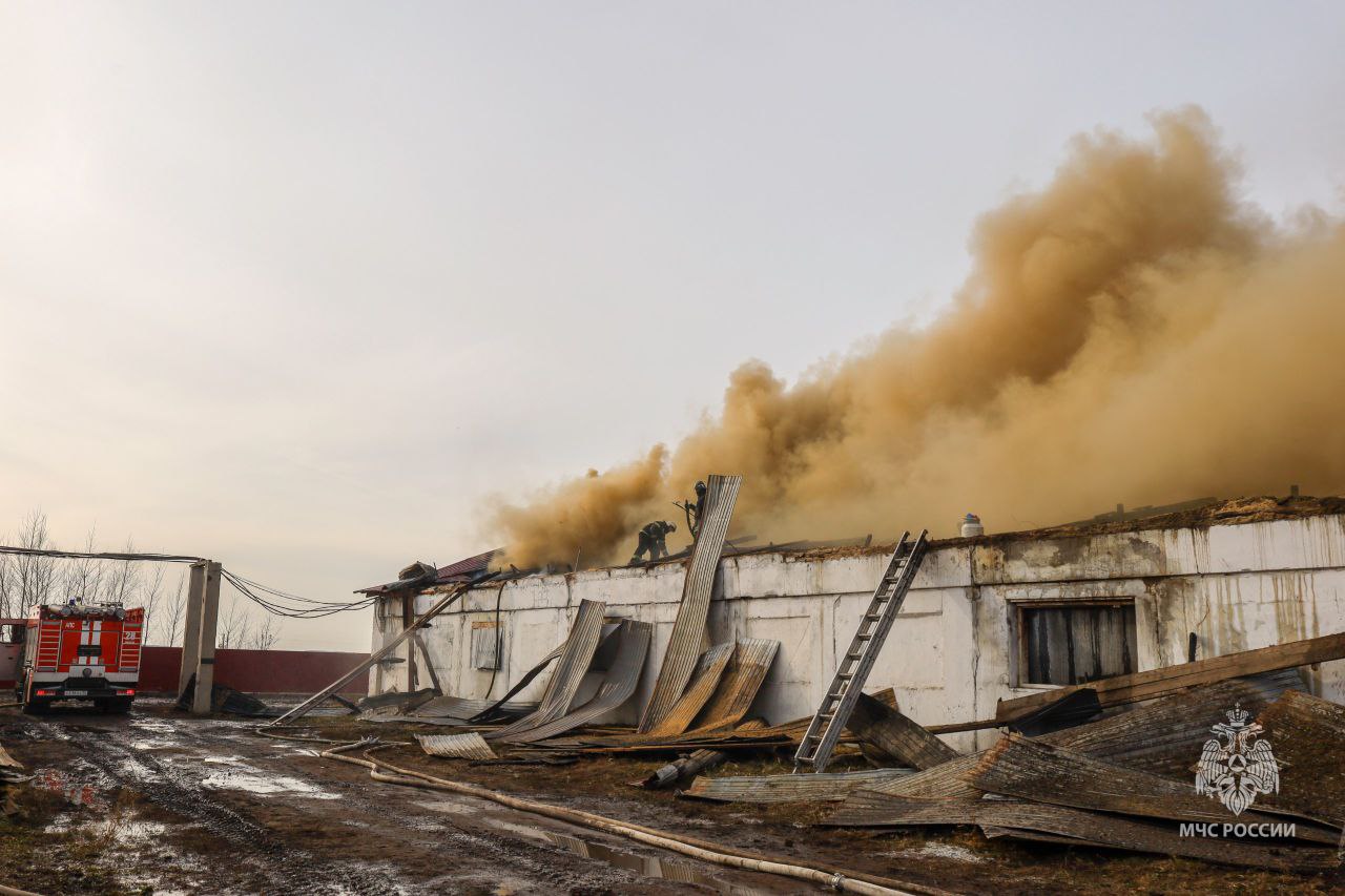 #пожарызасутки.   29 октября в 11:11 В селе Ачаир горела кровля склада с овощами #пожарызасутки.   29 октября в 11:11 В селе Ачаир горела кровля склада с овощами