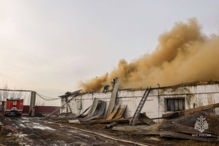 Пожарные ликвидировали возгорание площадью 2,5 тыс