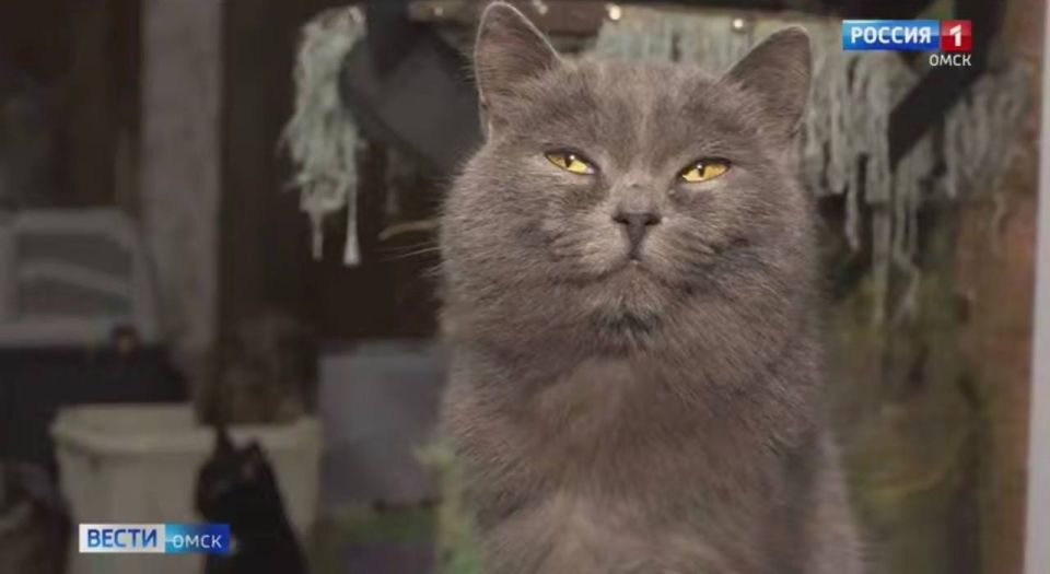  , !.       ?     -   !              ,   4...