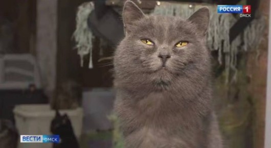 Доброе утро, омичи!. Готовы бодро ворваться в новый рабочий день? На этой неделе четверг - это почти экватор! В Омске продолжается шестидневная рабочая неделя в связи с подготовкой к Дню народного единства, который пройдет 4...