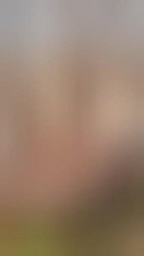 Залог хорошего утра — завтрак: в Большереченском зоопарке показали неспешную трапезу Думки