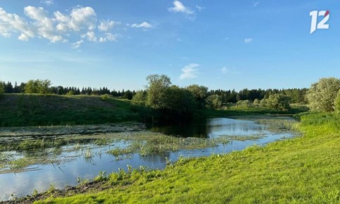 Омские экопроекты вышли в финал конкурса Президентского фонда природы