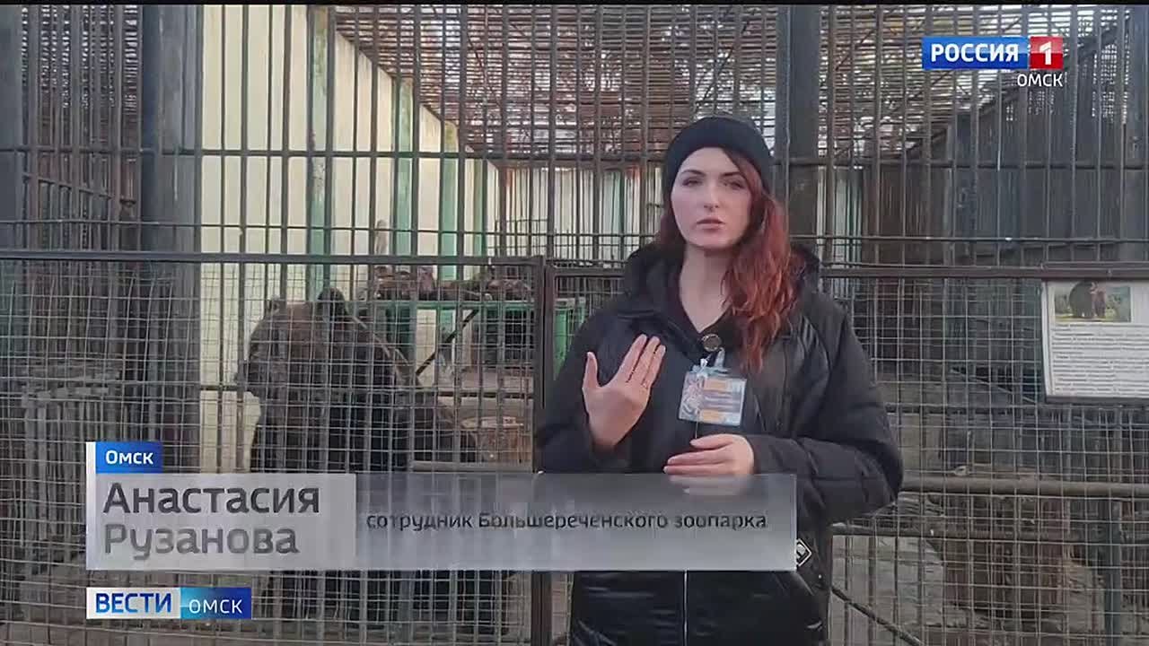 Октябрь продолжает преподносить омичам сюрпризы