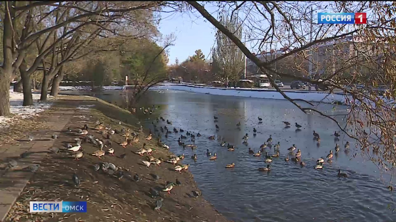 В Омске температура воздуха поднимется до +17