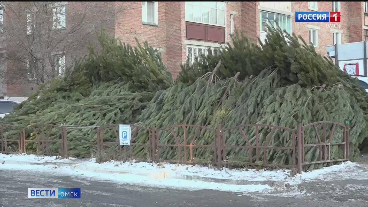 В Омске определили места для елочных базаров