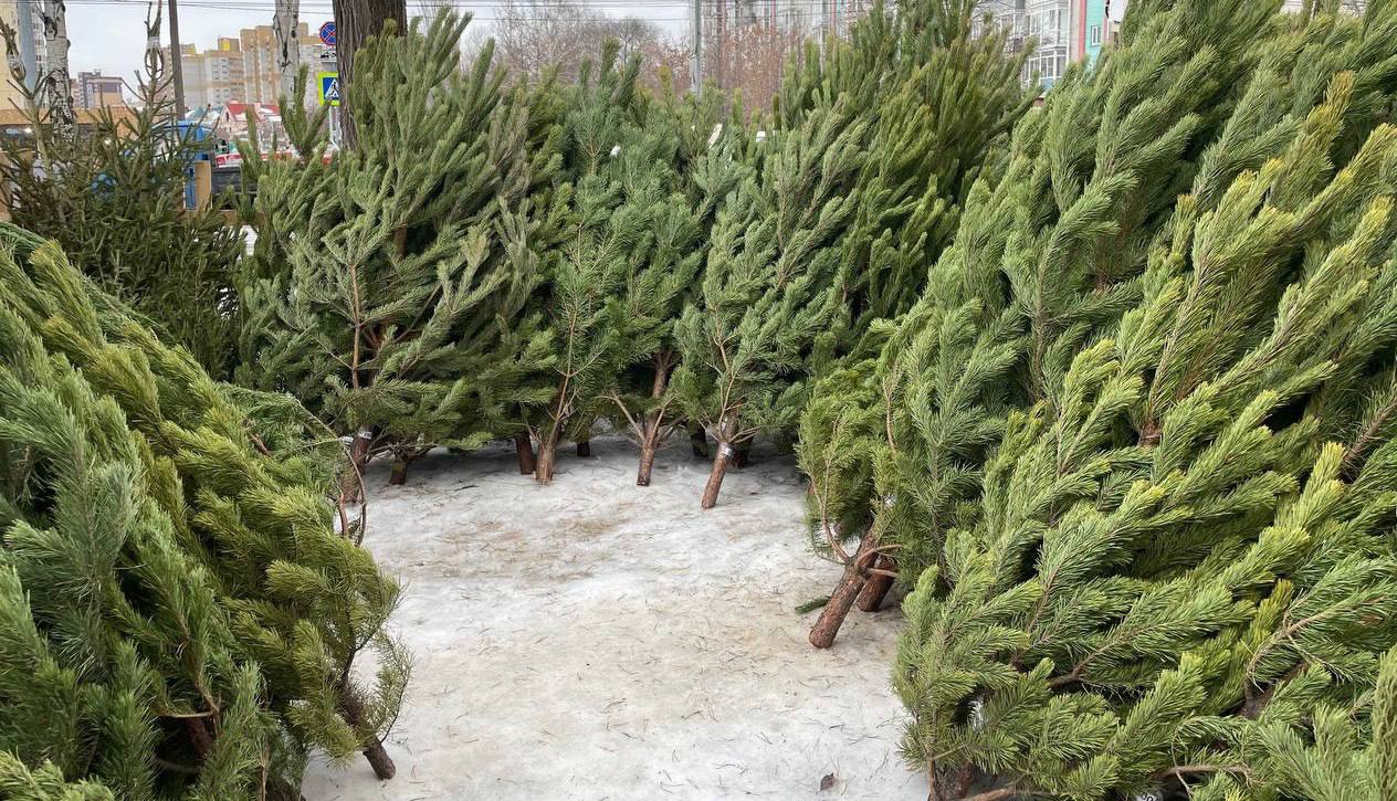 Омск готовится к новогодней сказке!