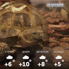 Доброе утро, омичи! Пусть сегодня все складывается так, как вы желаете!