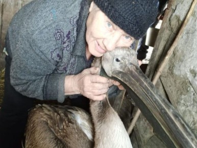 Омичка из глубинки, потерявшая сына, спасла от смерти раненного пеликана