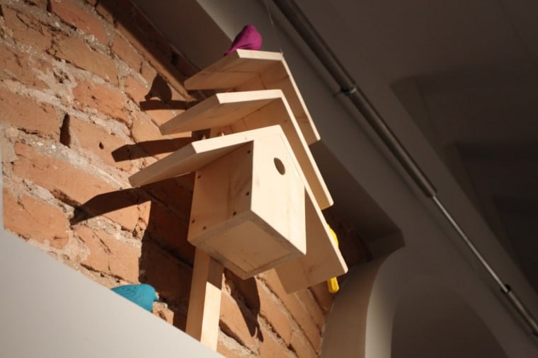 Омичам вновь предлагают стать «ПодЕльниками» Омичам вновь предлагают стать «ПодЕльниками»