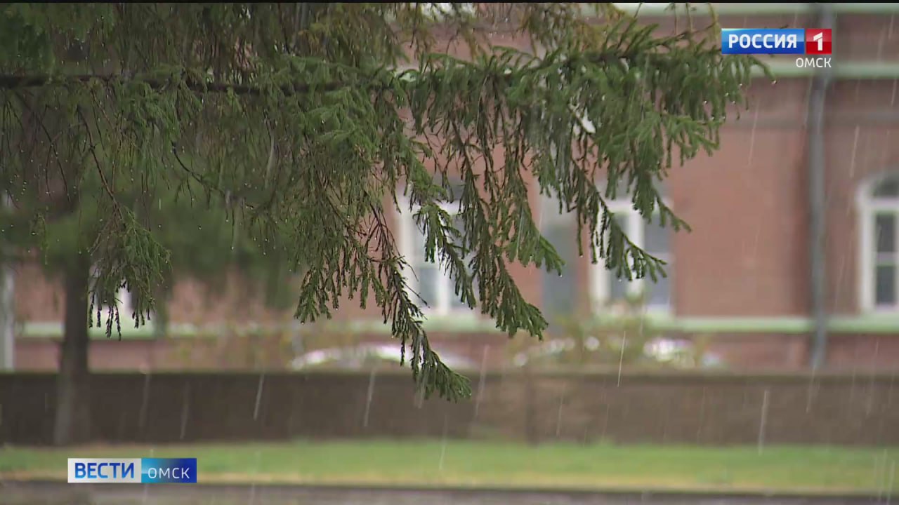 МЧС предупреждает о неблагоприятных погодных условиях в Омске