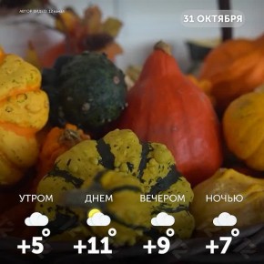 Доброе утро, омичи. Поздравляем всех с Тыквенным Спасом! Пусть последний день октября будет наполнен яркими моментами